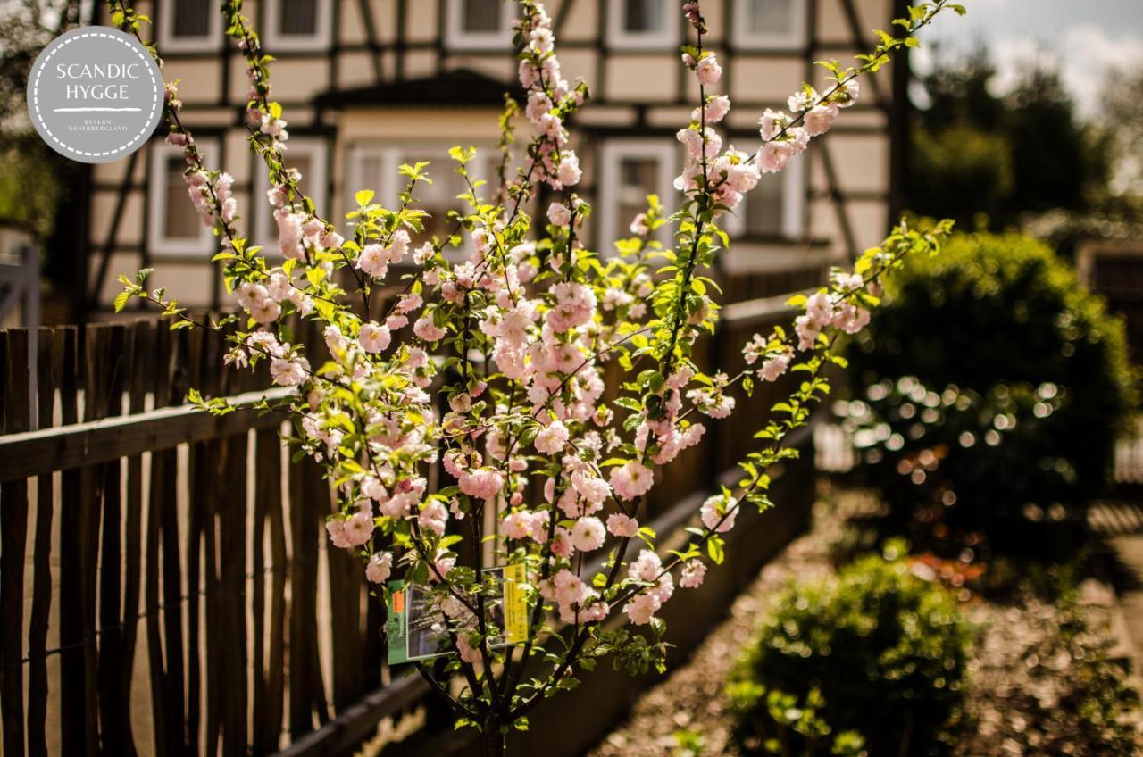 Ferienwohnung Scandic Hygge Bevern Im Weserbergland Bagian luar foto